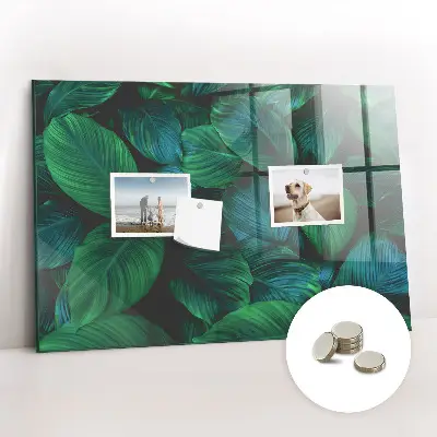 Magnetic wall board Nature leaves