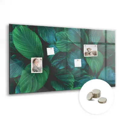 Nature leaves magnetic wall board
