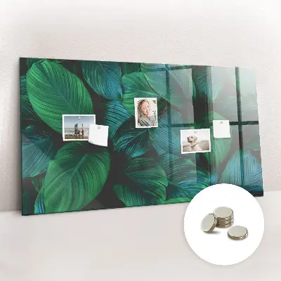 Magnetic wall board Nature leaves