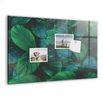 Magnetic wall board Nature leaves