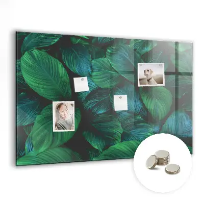 Magnetic wall board Nature leaves