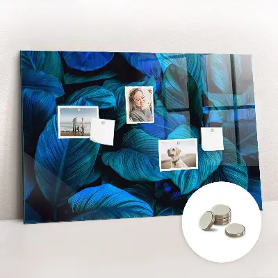 Tropical nature magnetic glass dry erase board
