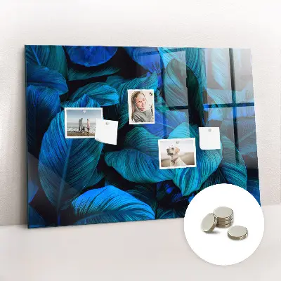 Tropical nature magnetic glass dry erase board