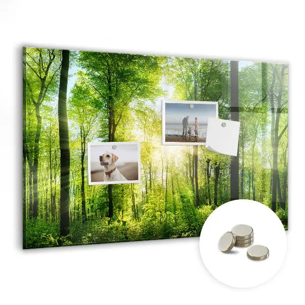 Magnetic Glass Dry Erase Board with Nature Forest Trees Design