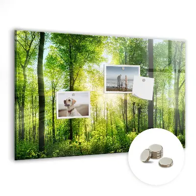 Magnetic Glass Dry Erase Board with Nature Forest Trees Design