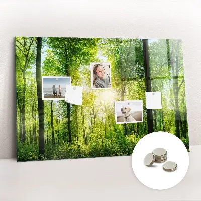 Magnetic Glass Dry Erase Board with Nature Forest Trees Design