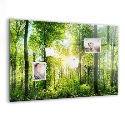 Magnetic Glass Dry Erase Board with Nature Forest Trees Design