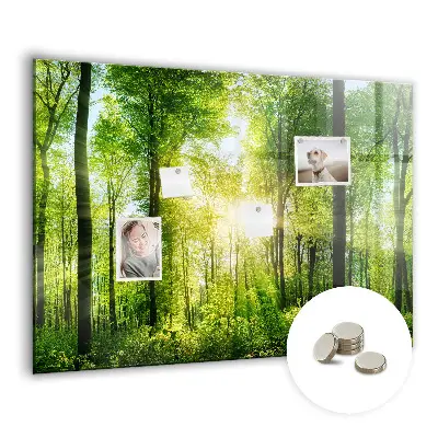Magnetic Glass Dry Erase Board with Nature Forest Trees Design