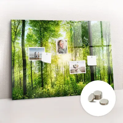 Magnetic Glass Dry Erase Board with Nature Forest Trees Design