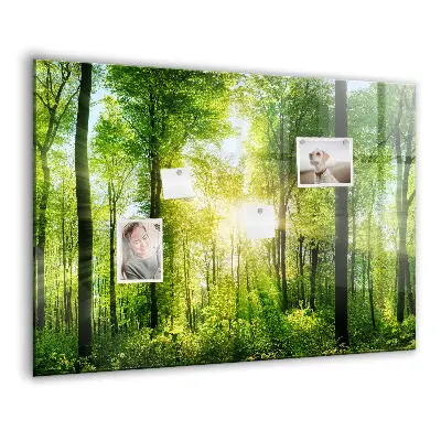 Magnetic Glass Dry Erase Board with Nature Forest Trees Design