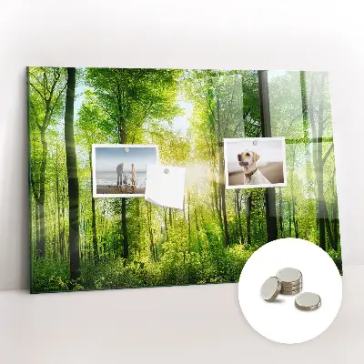 Magnetic Glass Dry Erase Board with Nature Forest Trees Design