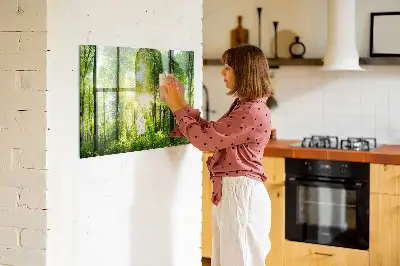Magnetic Glass Dry Erase Board with Nature Forest Trees Design