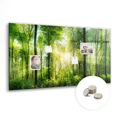 Magnetic Glass Dry Erase Board with Nature Forest Trees Design