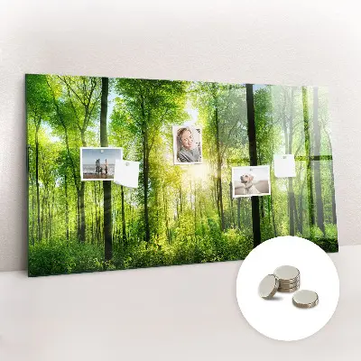 Magnetic Glass Dry Erase Board with Nature Forest Trees Design