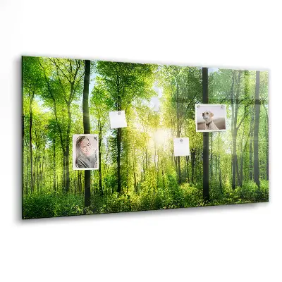 Magnetic Glass Dry Erase Board with Nature Forest Trees Design