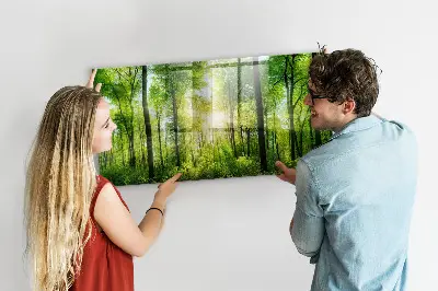 Magnetic Glass Dry Erase Board with Nature Forest Trees Design