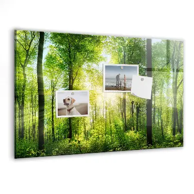 Magnetic Glass Dry Erase Board with Nature Forest Trees Design