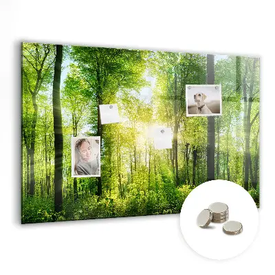 Magnetic Glass Dry Erase Board with Nature Forest Trees Design
