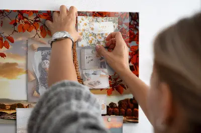 Eiffel Tower magnetic board