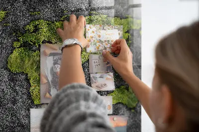 Magnetic wall board World map