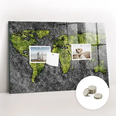 Magnetic wall board World map