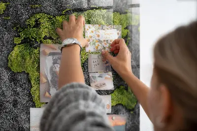 Magnetic wall board World map