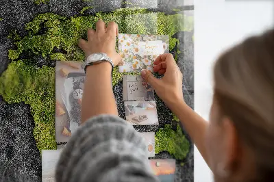 Magnetic wall board World map