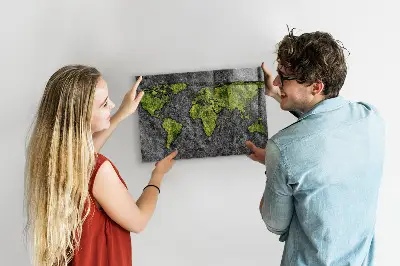 Magnetic wall board World map