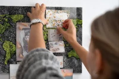 Magnetic wall board World map