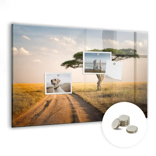 African landscape magnet board