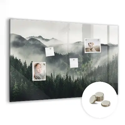 Magnetic wall board with forest landscape