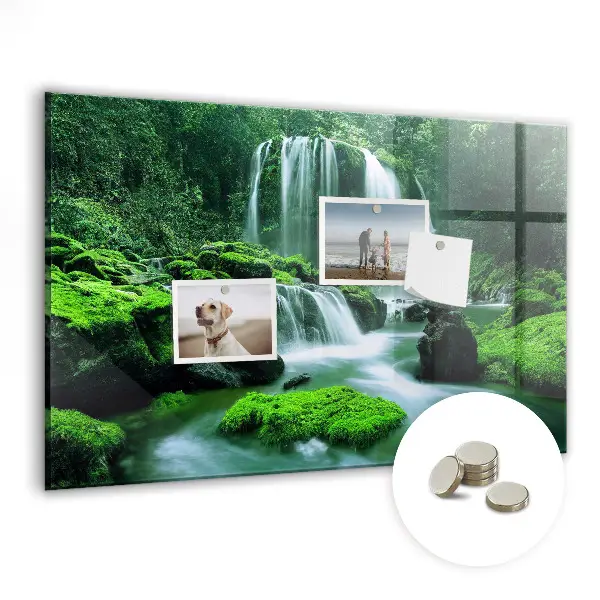 Waterfall Among the Moss Magnetic Board