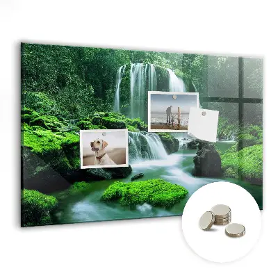 Waterfall Among the Moss Magnetic Board