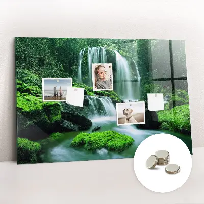 Waterfall Among the Moss Magnetic Board