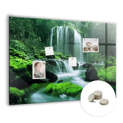 Waterfall Among the Moss Magnetic Board