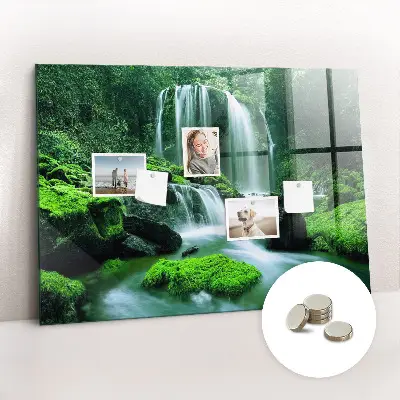 Magnet board Waterfall among the moss