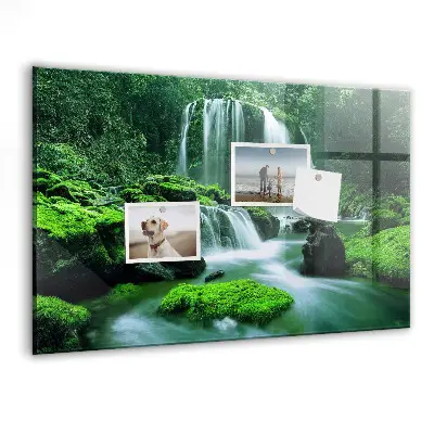 Magnet board Waterfall among the moss