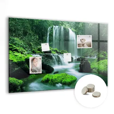 Waterfall Among the Moss Magnetic Board