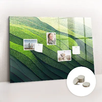 Magnetic glass dry erase board Abstract green fields