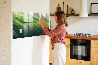 Magnetic glass dry erase board Abstract green fields