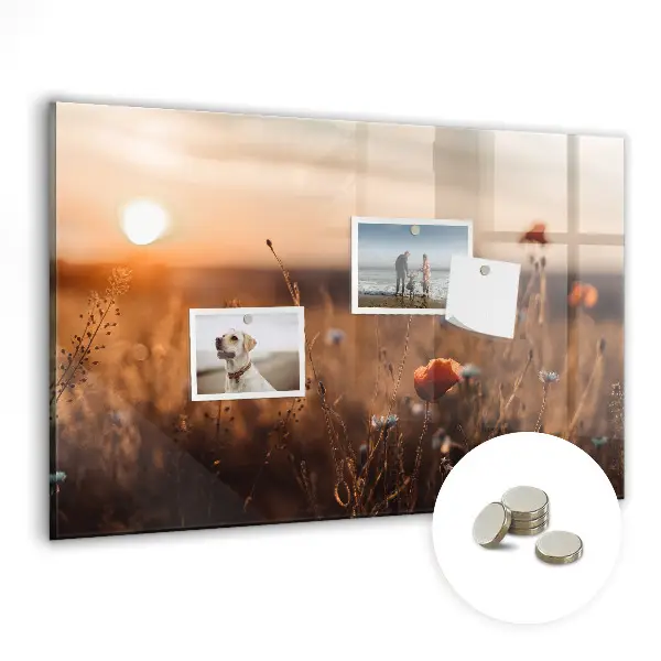 Magnetic glass dry erase board with Field sunrise design
