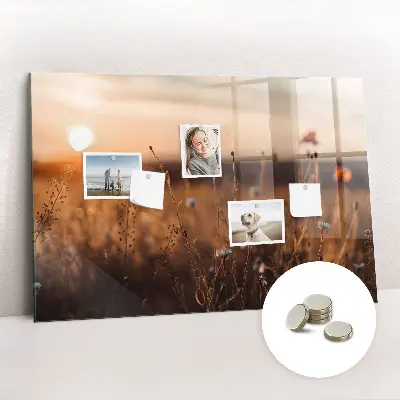 Magnetic glass dry erase board with Field sunrise design