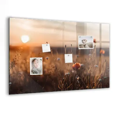 Magnetic glass dry erase board with Field sunrise design