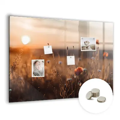 Magnetic glass dry erase board with Field sunrise design