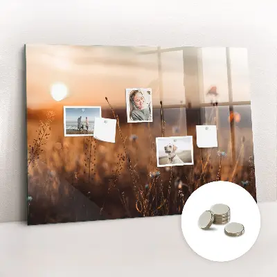 Magnetic glass dry erase board with Field sunrise design
