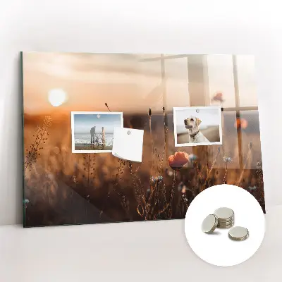 Magnetic glass dry erase board with Field sunrise design
