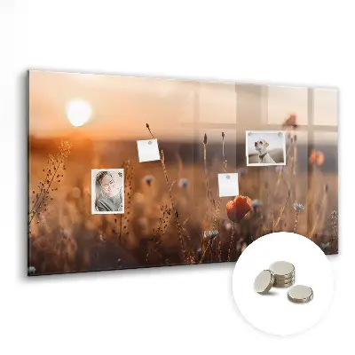 Magnetic glass dry erase board with Field sunrise design