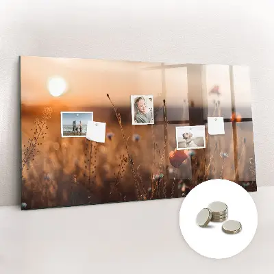 Magnetic glass dry erase board with Field sunrise design