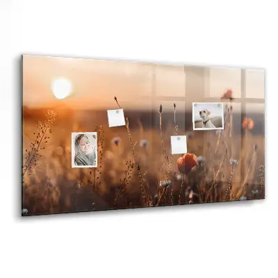 Magnetic glass dry erase board with Field sunrise design