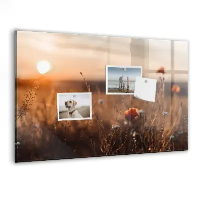 Magnetic glass dry erase board with Field sunrise design